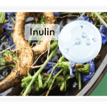 Chicory root inulin