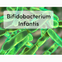 Bifidobacterium infantis probiotic